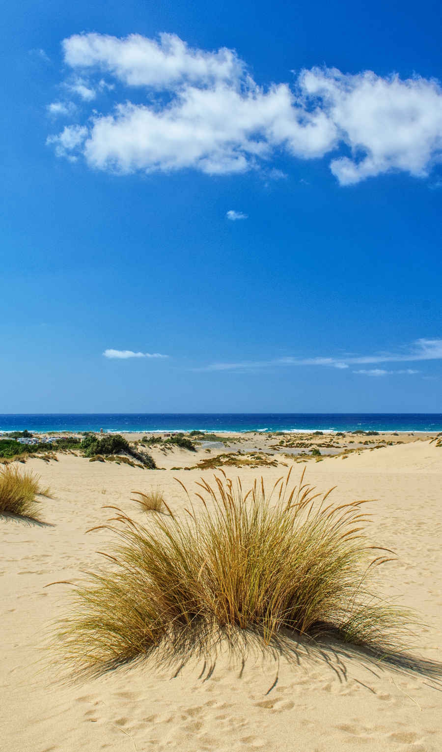 ceas-ingurtosu-piscinas-dune-900x1530