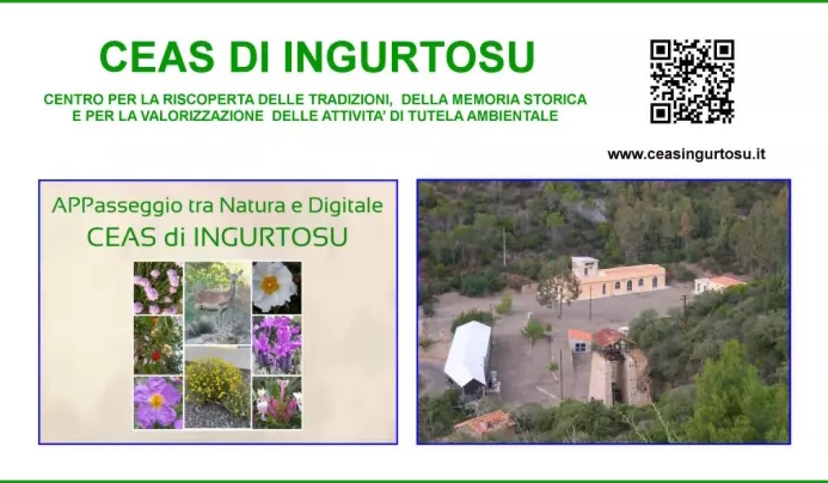 appasseggio_tra_natura_e_digitale_2022-09-28_00-26-07